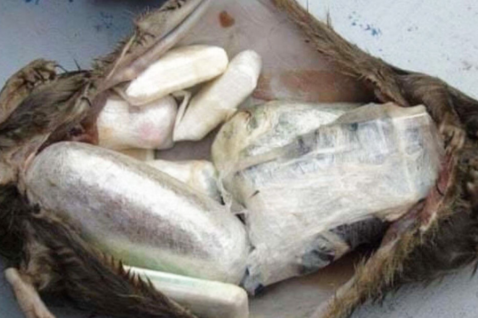 Handys, Drogen, Ladegeräte, SIM-Karten: Unglaublich, was in dem Inneren der Tierkadaver gefunden wurde.