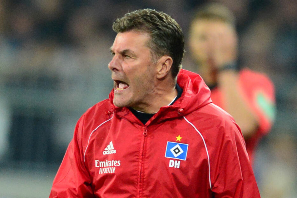 HSV-Trainer Dieter Hecking sieht seine Mannschaft in der Favoritenrolle.