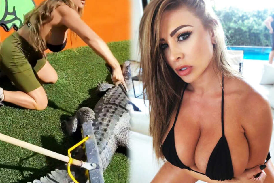 Sexy Playmate schrubbt einen Alligator