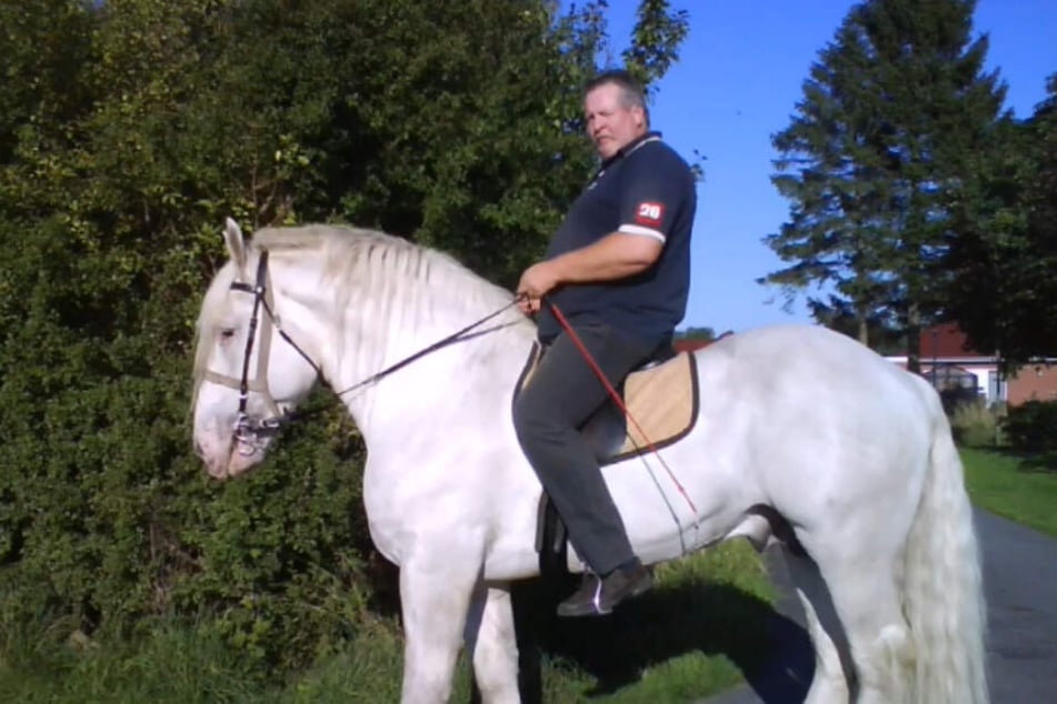 Tamme mit Jumper vom Hankenhof.