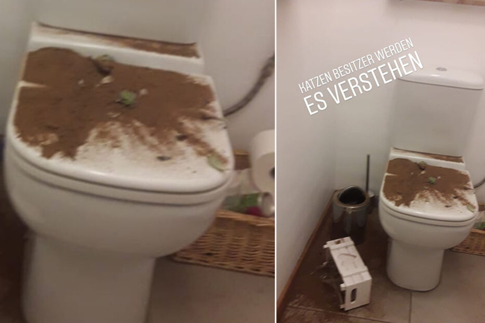 Oh je, da ist wohl jemand durchs Bad getobt und hat ein ziemliches Chaos hinterlassen.