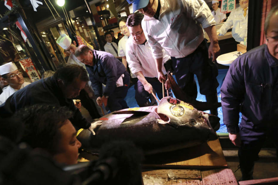Dieser 212 Kilogramm schwerer Blauflossen-Thunfisch ist in Japan für den unfassbaren Preis von 74,2 Millionen Yen (rund 600.000 Euro) versteigert worden.