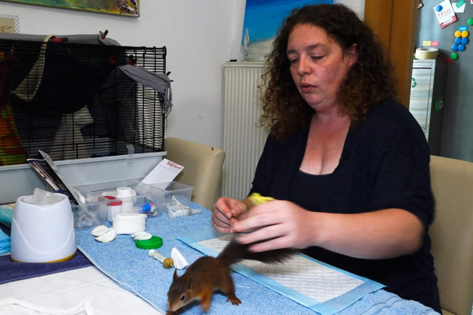Sandra Jelen kümmert sich liebevoll um die süßen Tierchen.
