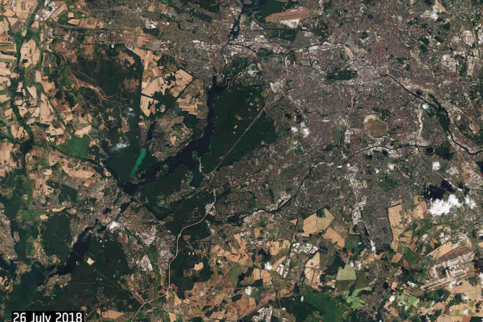 Die Hitzeschäden in Berlin (oben re.) und Potsdam (unten li.) aus 800 Kilometern Höhe.