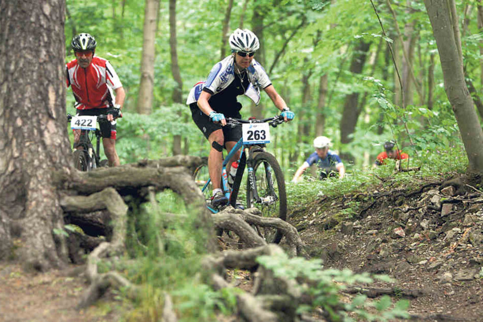 Immer mehr Mountainbiker sind in der Heide unterwegs. Wege und Waldböden
leiden unter der starken Belastung.