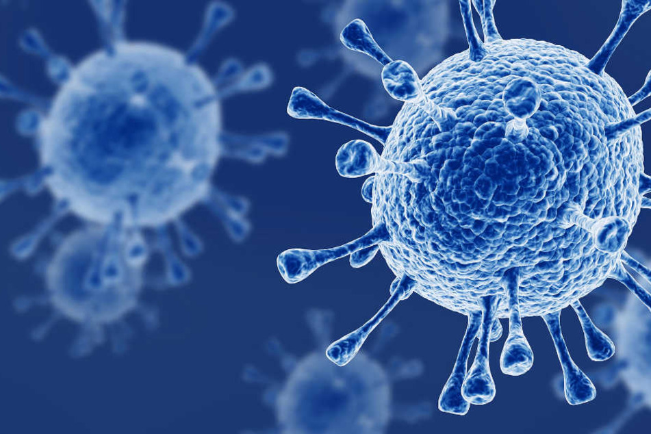 Der Influenza-Virus darf in keinem Fall unterschätzt werden (Symbolbild).