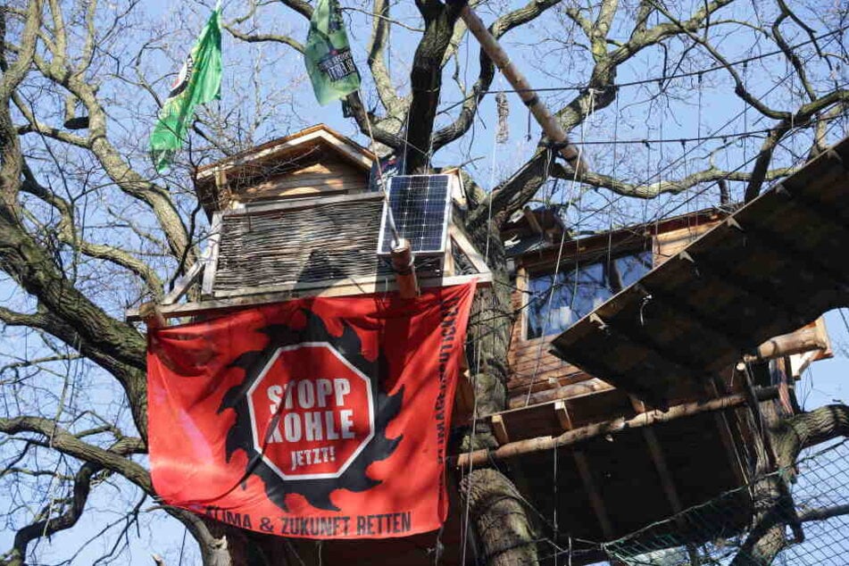 Ein Transparent "Stopp Kohle Jetzt!" an einem Baumhaus im Hambacher Forst.