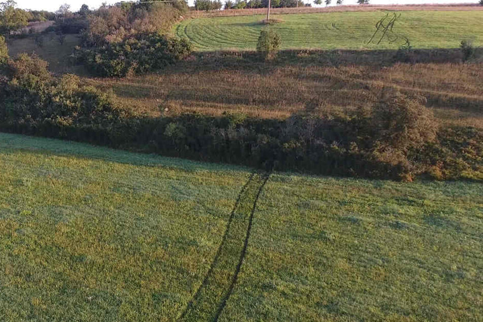 Auf dem Feld zwischen Bischleben und Ingersleben sind die Spuren der nächtlichen Verfolgungsjagd noch klar zu erkennen.