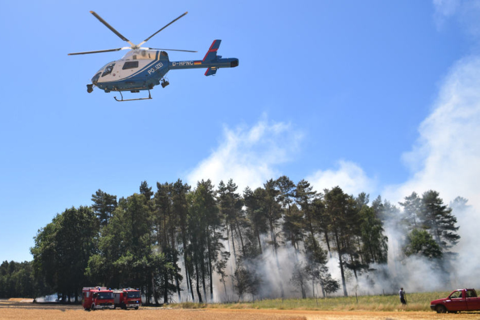 Ein Waldgebiet bei Wiechendorf in Niedersachsen ist in Brand geraten.