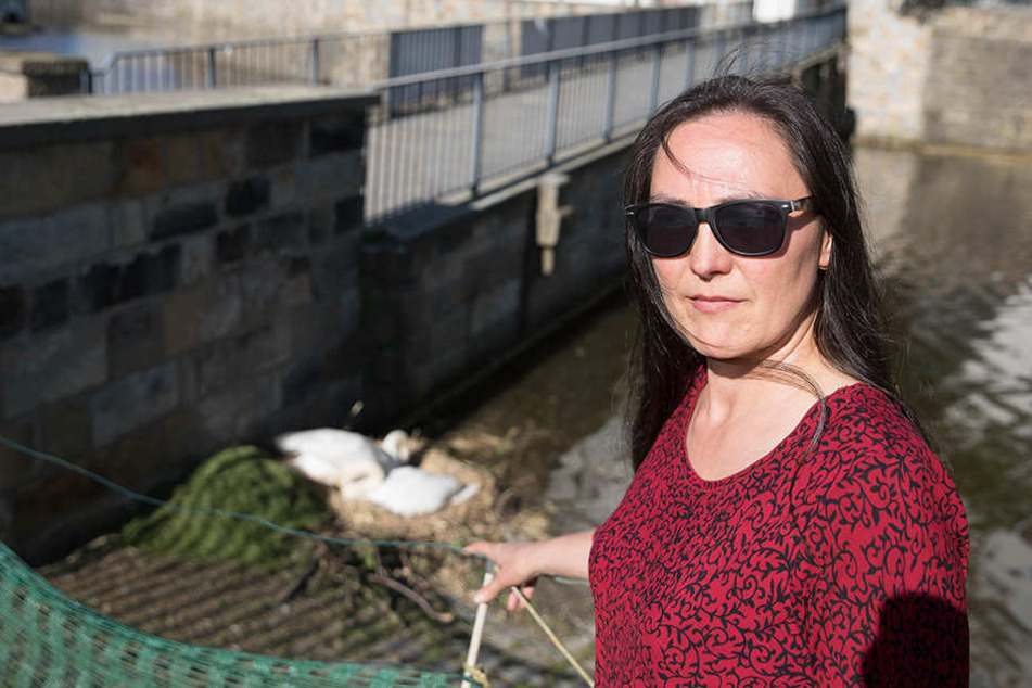 Die Verwaltung müsse sich endlich um die Schwäne kümmern oder sie in sachkundige Hände geben, fordert die grüne Ortschaftsrätin Manuela Schott (56).