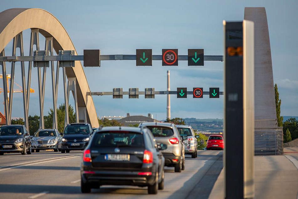 Auf der Waldschlößchenbrücke
herrscht wegen der Fledermaus im Sommer Tempo-30-Limit.