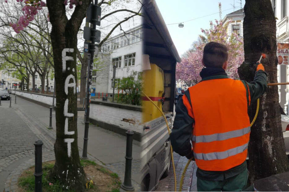 In Bonn wird gegen die Schmierereien vorgegangen.
