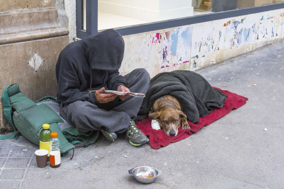 Obdachlose haben oft einen treuen Vierbeiner an ihrer Seite, der ihnen das Leben auf der Straße etwas erleichtert.