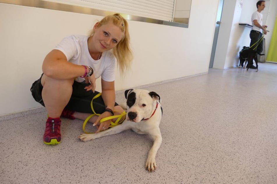 Pflegerin Sabrina mit dem American Staffordshire Rüde Smokey im Tierheim München-Rief.