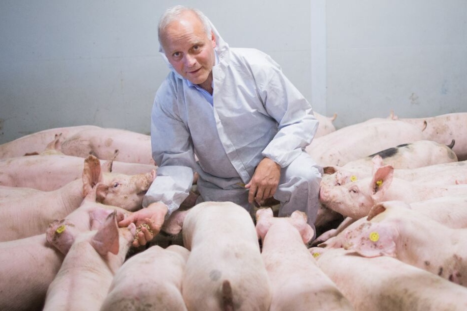 Der Bundestagsabgeordnete Johannes Röring (CDU), Präsident des Westfälisch-Lippischen Landwirtschaftsverbands (WLV) und Sprecher für den Bereich der Schweinehaltung im Deutschen Bauernverband, steht auf seinem Hof zwischen Mastschweinen.