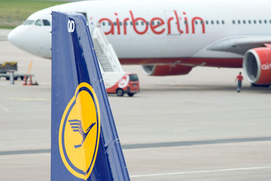 Air Berlin und Lufthansa verhandeln derzeit über eine Übernahme.