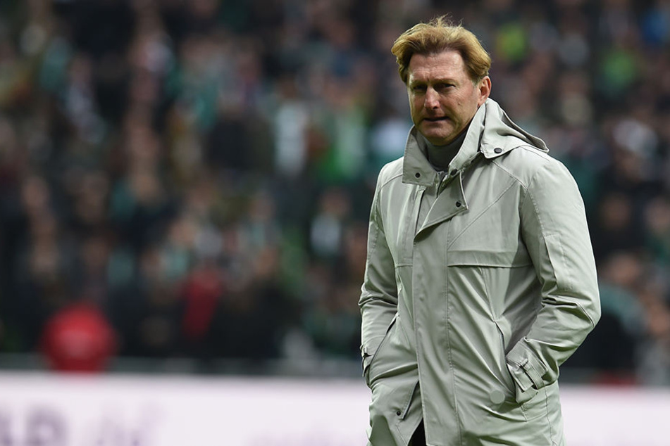 RB-Coach Ralph Hasenhüttl (50) steht das Spiel im Mittelpunkt.