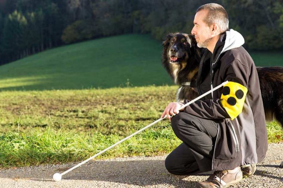 Mann und Hund wurden auf einem Feldweg gefunden (Symbolbild).