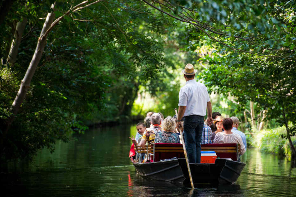 Einer der Brandenburger Touristenmagnete ist und bleibt der Spreewald.