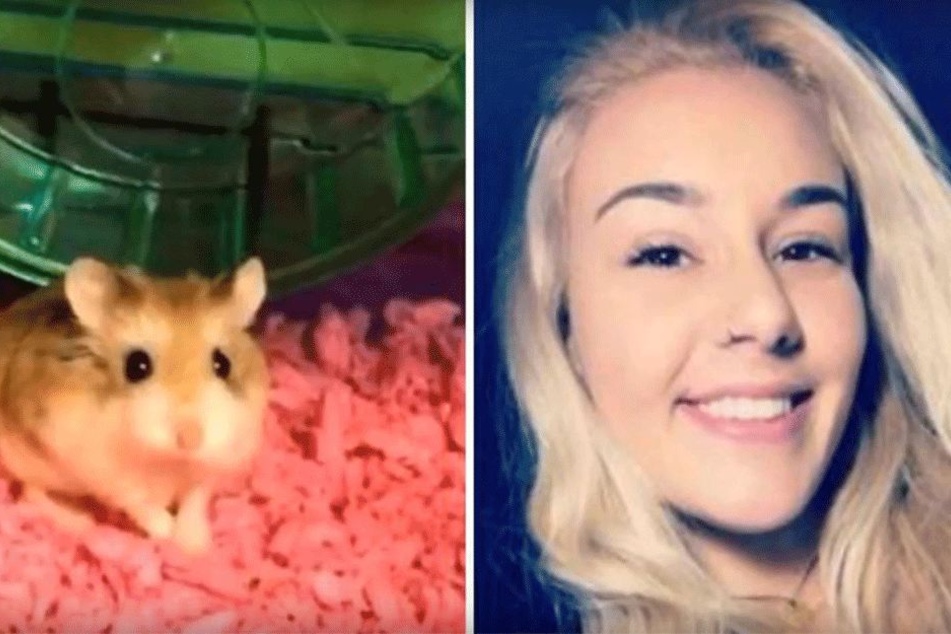 Hamster Pebbles überlebte die Idee seiner Besitzerin nicht...