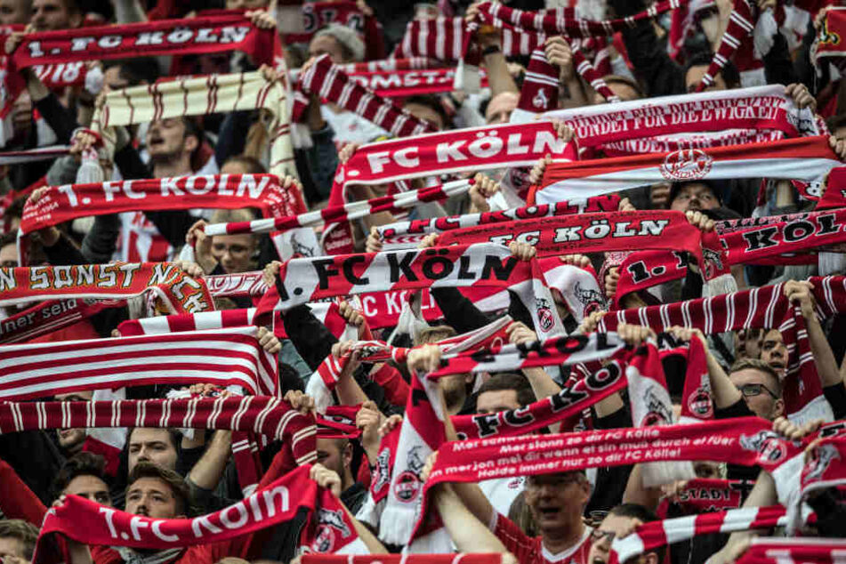 Blick auf friedliche Kölner Fans (Archiv).