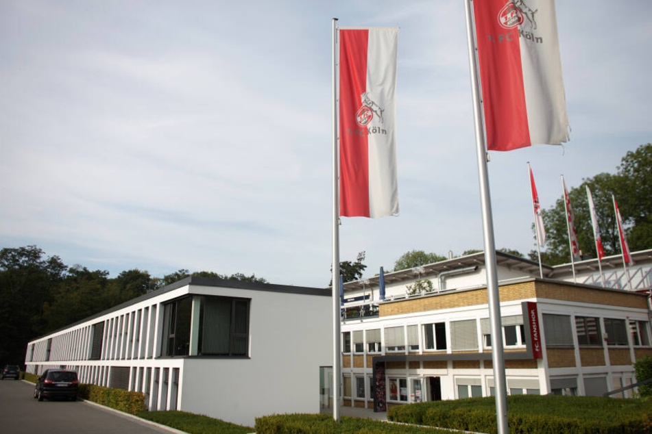 Der 1. FC Köln möchte durch einen Ausbau des Geißbockheims die Trainingsmöglichkeiten verbessern.