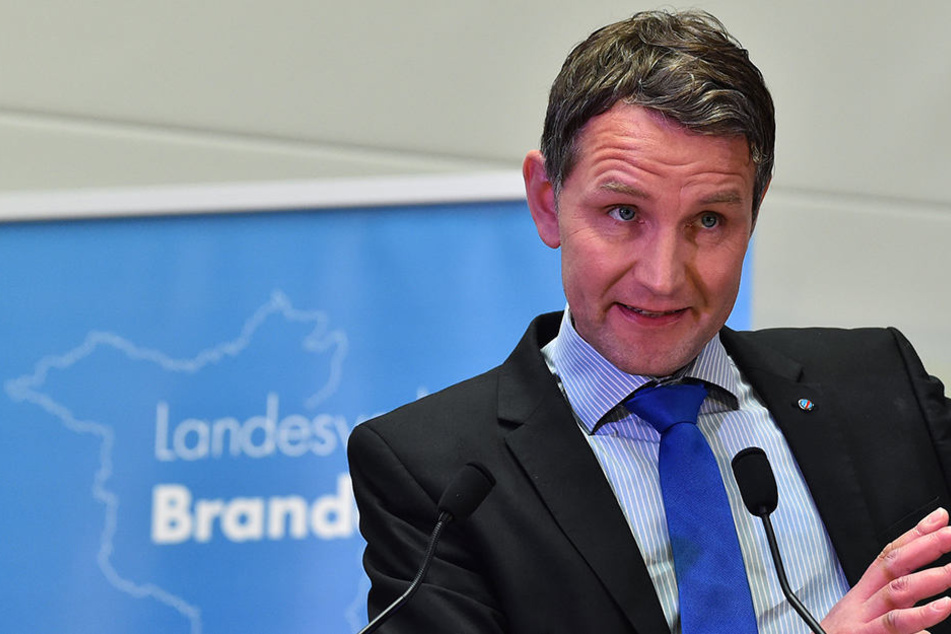 Ein Teil der AfD möchte den Parteiausschluss des umstrittenen Vorsitzenden Björn Höcke (45) stoppen.
