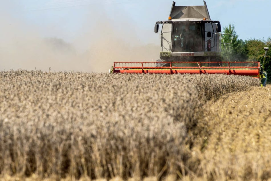 Die Landwirtschaft spielt im Freistaat Bayern weiterhin eine große Rolle. (Symbolbild)