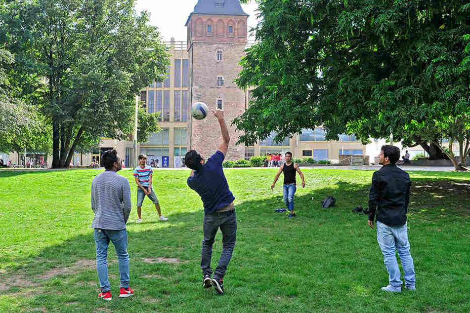 Am Mittwoch wurde das umstrittene Ballspielverbot im Stadtrat abgeschmettert.