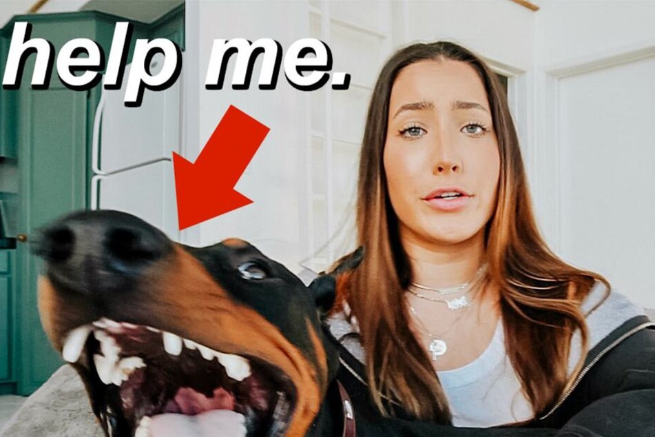 War das ein Omen? Ein Titelbild der YouTuberin für eines ihrer Videos.