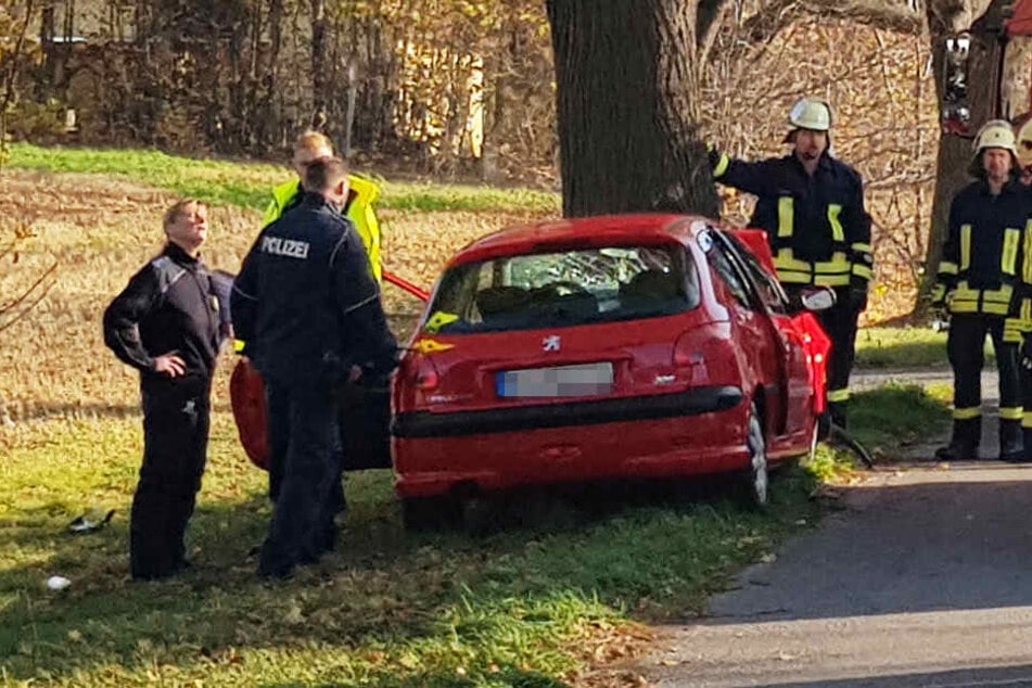 Die Frau knallte mit ihrem Peugeot frontal gegen einen Baum.