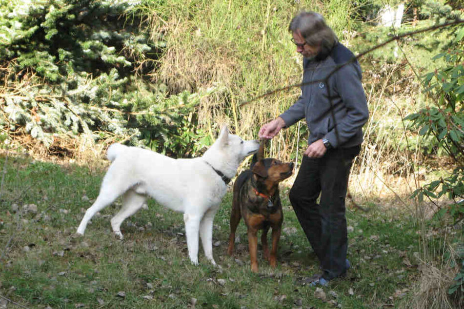 Schäferhund "Snow" wohnt vorerst bei Nachbar Ralph Winkler.