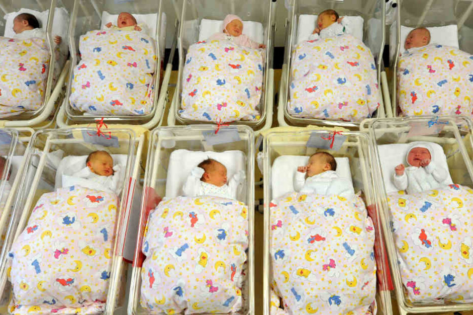 Babys in ihren Bettchen auf einer Neugeborenen-Station.