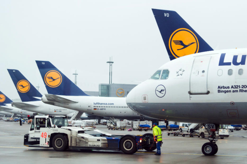 Fünf Stunden Flug – für Nichts! (Symbolfoto)