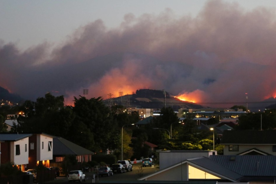 In Neuseeland wütete tagelang ein Waldbrand. Nun konnte er endlich eingedämmt werden.