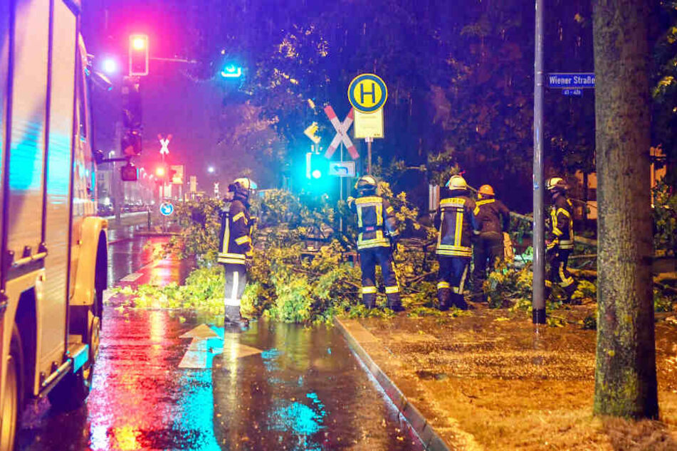 Mit der Kettensäge beseitigten die Einsatzkräfte den Baum.