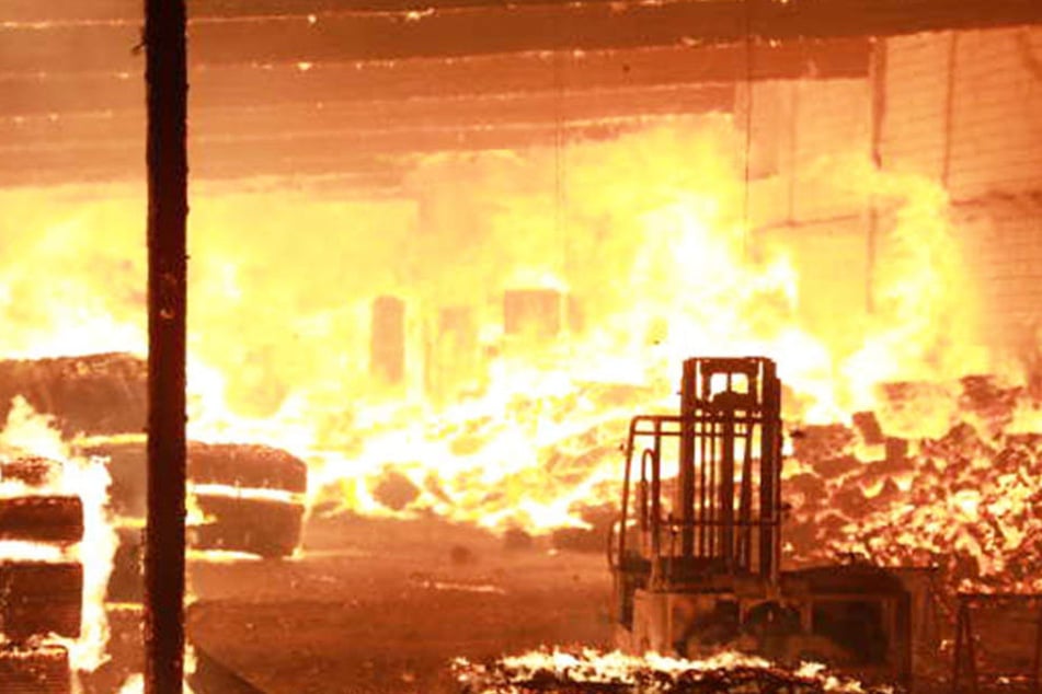 Ein Holzhandel in Coswig fing im Februar 2018 Feuer. Der mutmaßliche Brandstifter wurde festgenommen.