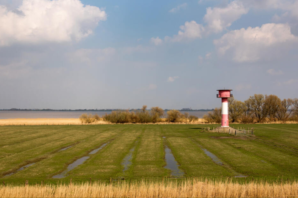 Bisher ist das Land am geplanten Elbtunnel landwirtschaftlich geprägt.