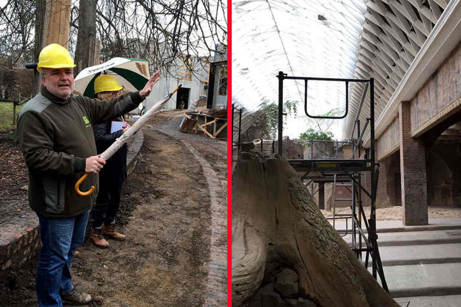 Zoodirektor Junhold (52) erklärt die Neuerungen, die es in diesem Jahr im Zoo Leipzig zu bestaunen geben wird (li.). Rechts die Baustelle "Ganesha Mandir", das Elefantenhaus.