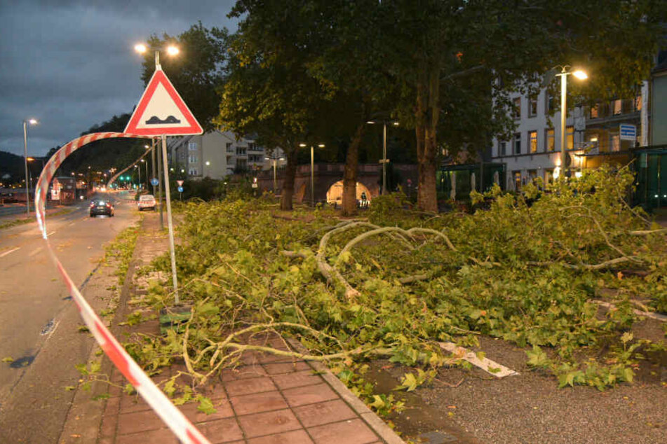 So wütete Sturmtief "Fabienne" in Heidelberg.