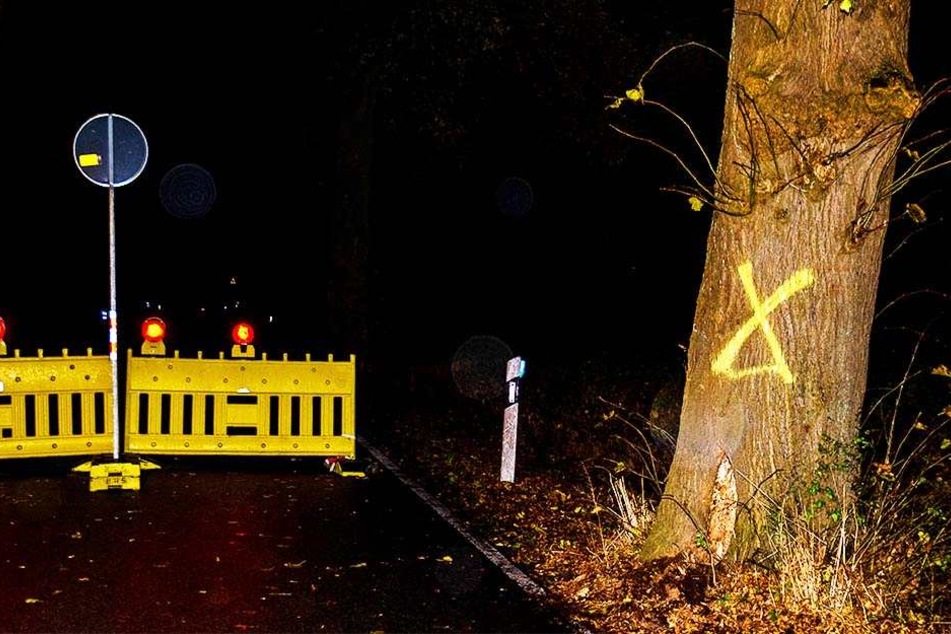 Der Baum wurde bereits markiert, damit er am Montag gefällt werden kann.