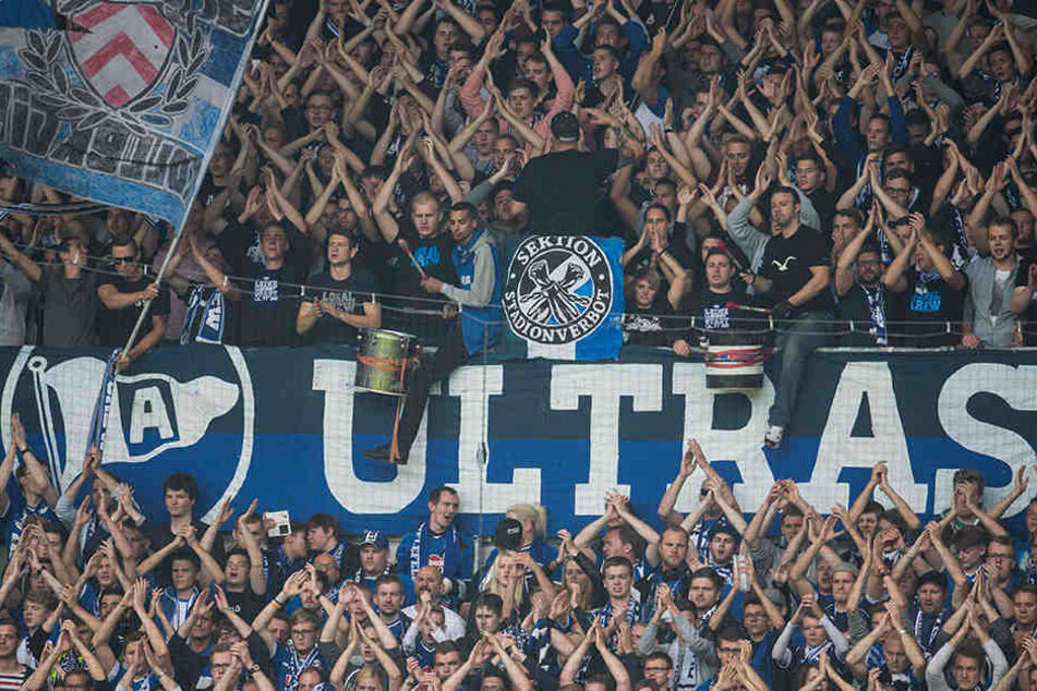 Die Fans von Arminia Bielefeld geben dem Trainer die Schuld an der jetzigen Situation.