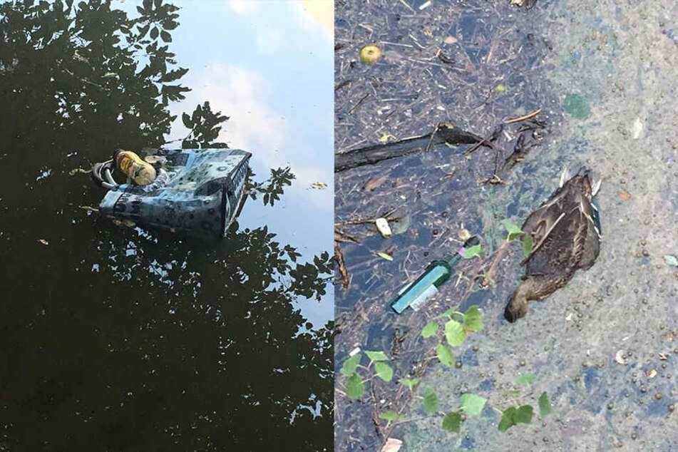 In dem dreckigen Wasser schwimmt auch immer mehr Müll.