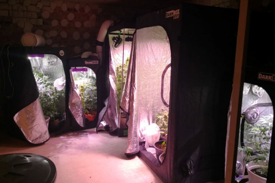 Unbekannte hatten den Cannabis-Geruch aus dem Keller gemeldet.