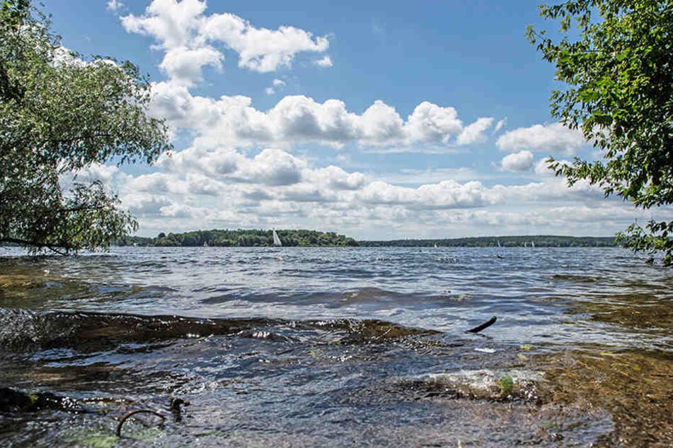 Die untere Havel ist ein beliebtes Ausflugsziel und endlich für den Badespaß freigegeben. (Symbolbild)