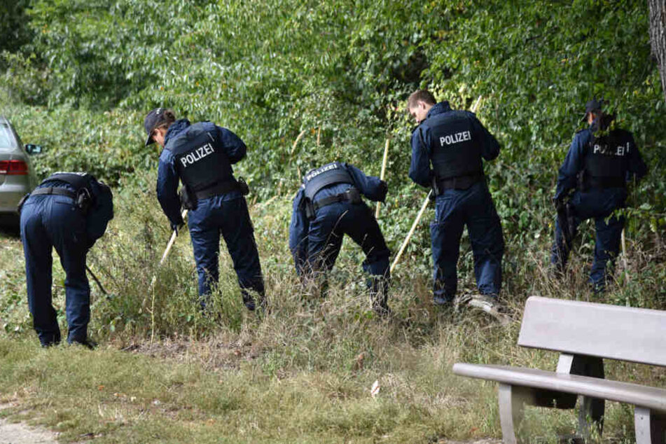 Im September 2017 wurde das Skelett in einem Waldstück nahe Viernheim entdeckt. (Symbolbild)