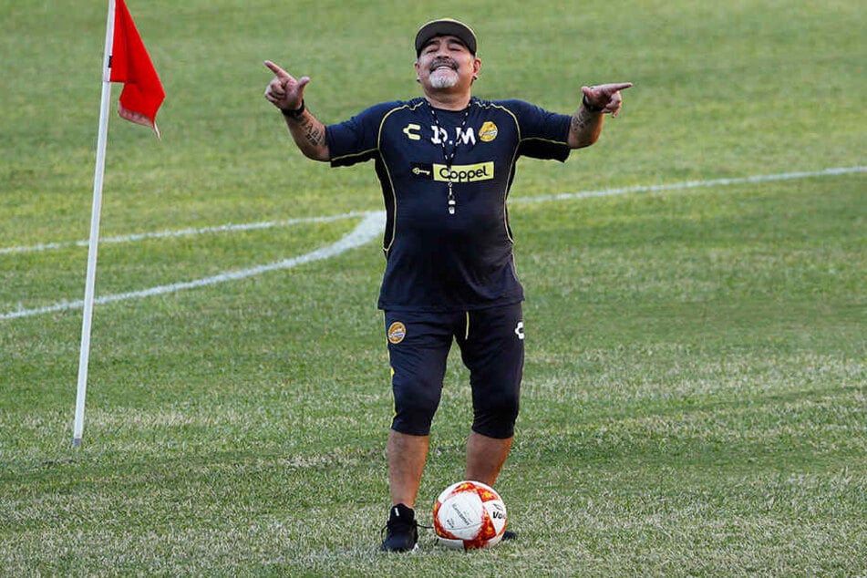 Könnte bald Trainer von Usain Bolt sein: Fußball-Legende Diego Armando Maradona.