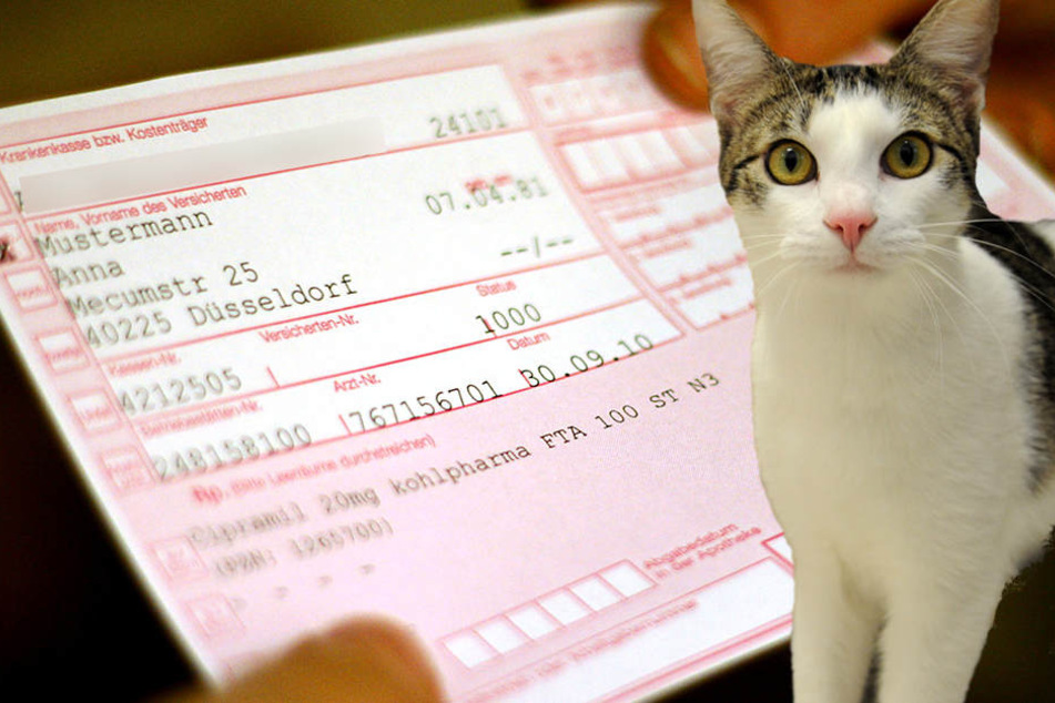Die Rezepte flogen auf, als die Frau Antibiotika für ihre Katzen holen wollte.