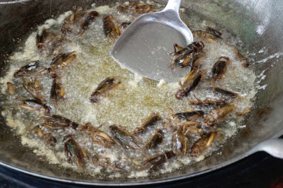 Insekten haben wohl die wenigsten bewusst in ihrem Speiseplan.