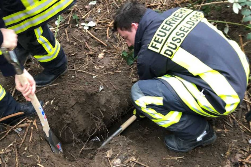 Die Feuerwehrmänner bei der Befreiungsaktion.